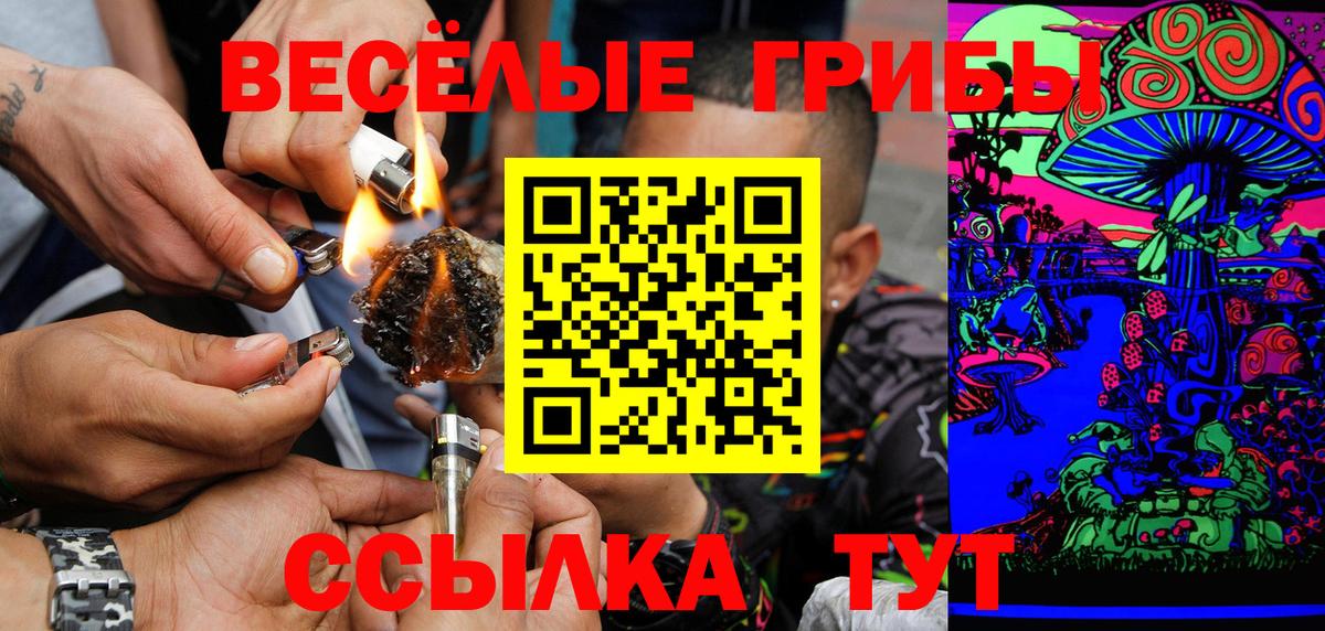 Псилоцибиновые грибы Psilocybine cubensis Майский